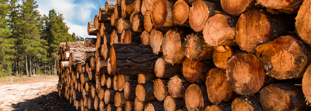 Top reasons to offer our Forestry & Logging Program - Arrowhead