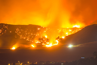 Wildfire safety tips for businesses
