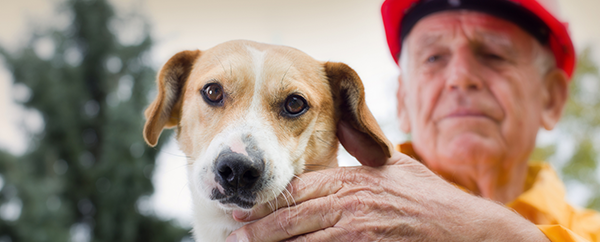 You are currently viewing How to keep pets safe during an earthquake