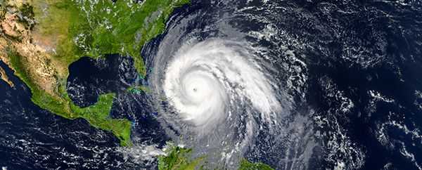 hurricane preparation for businesses