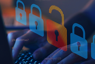Business website security: Learn the basics