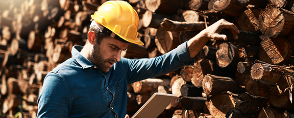 You are currently viewing How to manage logging equipment risks