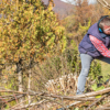 Wildfire mitigation starts with a plan