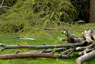 Wildfire Preparedness Day May 4